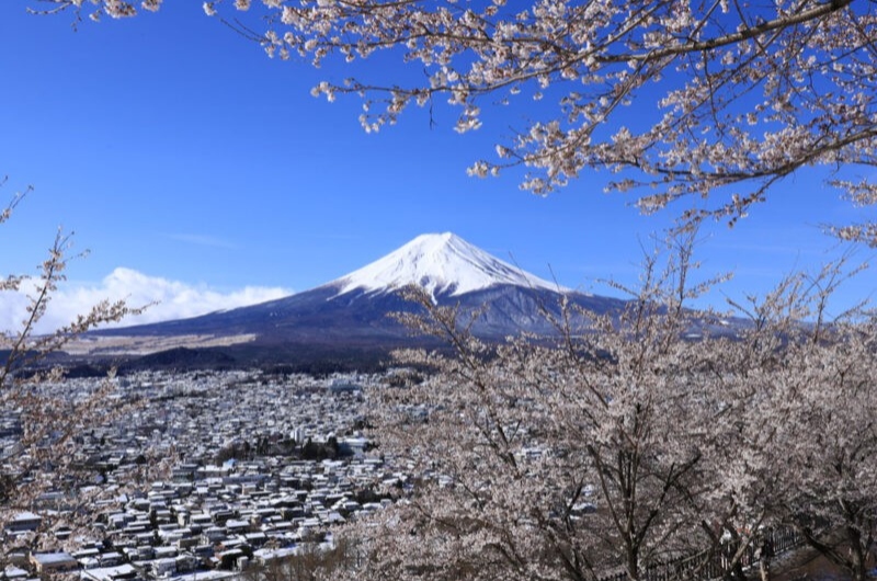 富士吉田 新倉山浅間公園