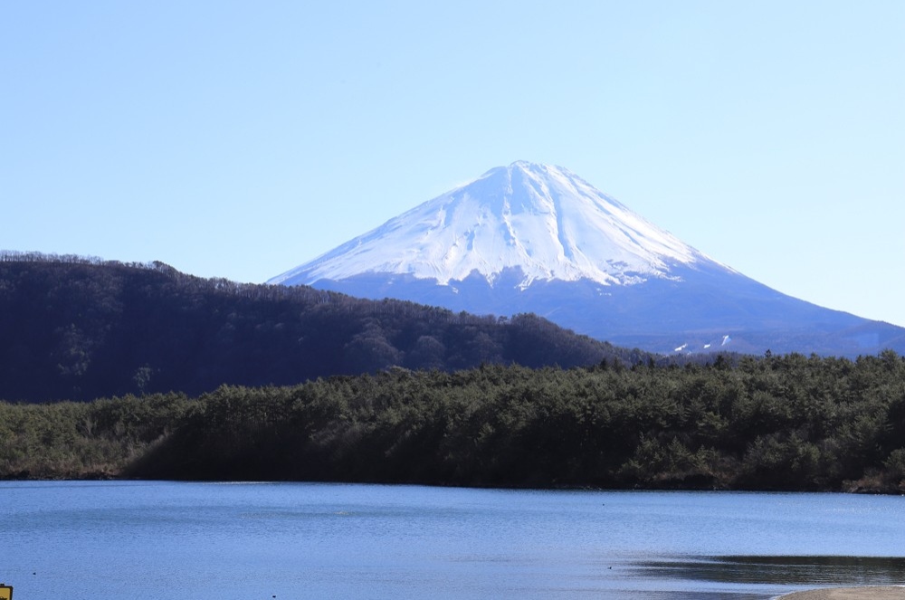 西湖根場浜